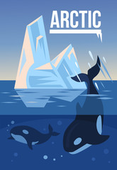 Arctic nature. Vector flat illustration