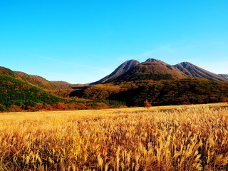 たで原湿原　夕景