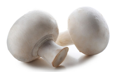 Fototapeta na wymiar A pair of champignon mushrooms isolated on white background
