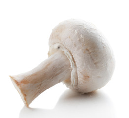 Champignon mushroom isolated on white background