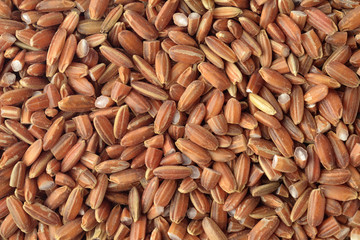 Red Rice / High resolution close up of red rice shot in studio.