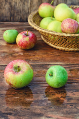 autumn harvest of apples