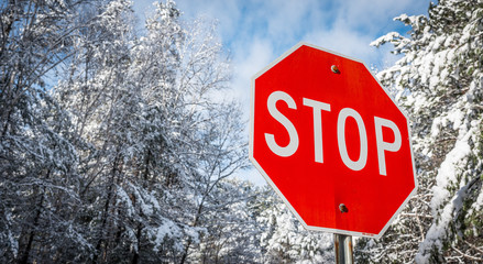 Stop sign on a winter woods road. Fresh fallen snow,  blazing red in stark contrast to a winter woods backdrop.