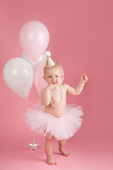 Smiling One Year Old Birthday Girl Wearing a Pink Tutu