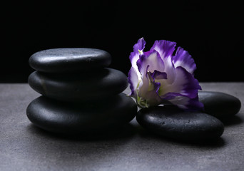 Fototapeta na wymiar Balanced pebbles with beautiful flower on dark grey table against black background