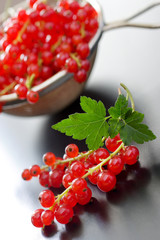 red currants berries