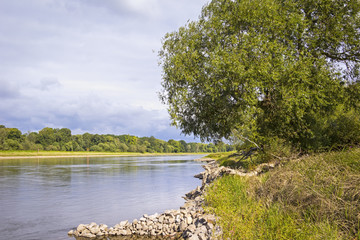 Fototapeta premium Landscape on the River Elbe near Dessau (Germany).