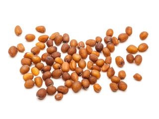 Macro closeup of Organic Small Brown Mustard Seeds (Brassica juncea) isolated on white background.