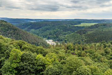 Fototapeta na wymiar beautiful forest Saxon Switzerland