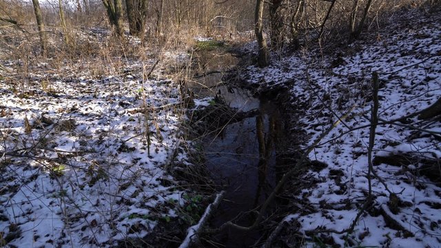 Small River Flowing thru Winter Forest 