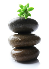 Fototapeta premium Stack of stones and a green flower, isolated on white. Spa relaxation concept