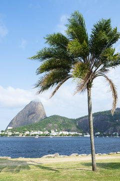 Scenic view of the karst skyline of Sugarloaf Mountain from the Flamengo seafront in Rio de Janeiro, Brazil