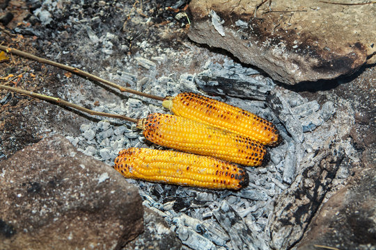 corn on embers