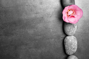 Spa stones and flower on grey background