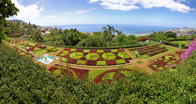 Tropical Botanical Garden in Funchal city, Madeira island, Portugal
