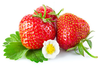 Fresh strawberry with green leaf and flower. Isolated on white
