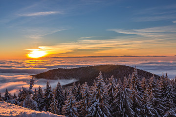 Sonnenuntergang im Schwarzwald - obrazy, fototapety, plakaty