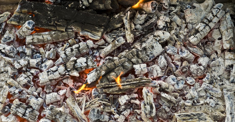 campfire full of burning wood for preparation of the shish kebab