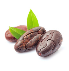 Cocoa beans with leaves