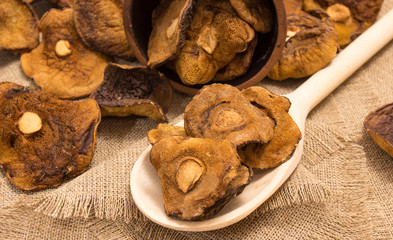 Dried mushrooms on canvas