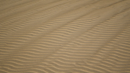 Bright sun on patterned sand in Corralejo, Fuerteventura, Canary