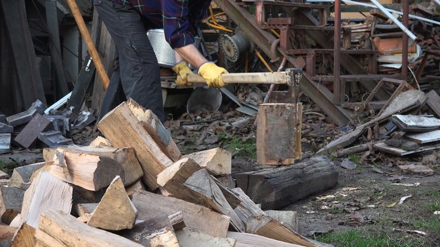 Lumberjack cutting wood with axe, male worker splitting logs outdoors
