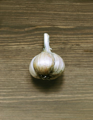 Head of garlic on wooden table
