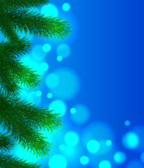 Fototapeta na wymiar Christmas background. Spruce branches on a blue background