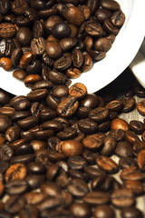coffee beans