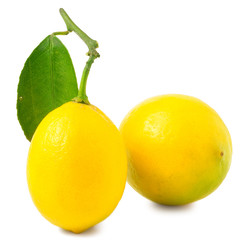 Two lemons with leaf
