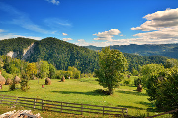Transylvanian village