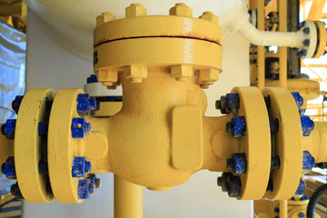 Check valve in a production facility to control flow direction