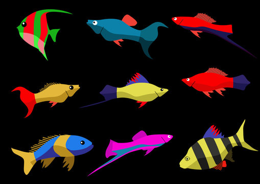 Exotic Fish icons set vector