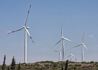 Fototapeta premium Wind turbines - Renewable Energy