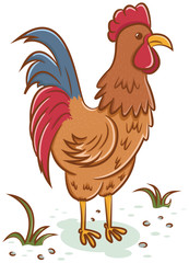Beautiful rooster character