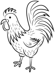 Beautiful rooster character