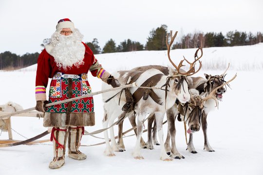 Santa Claus and his reindeer 