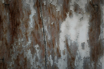 Wood texture