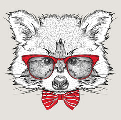 Image Portrait raccoon in the cravat and with glasses. Hand draw vector illustration. © Sunny Whale