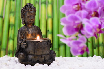 ZEN Garten mit Buddha und Orchidee mit Bambus