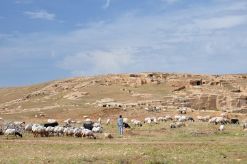 Ancient City of Dara, Mesopotamia