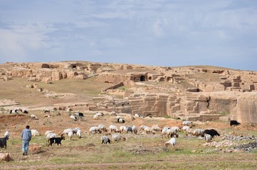 Ancient City of Dara, Mesopotamia