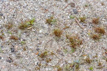 Kiesboden am Bagersee