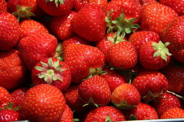 Strawberries / Harvest strawberries