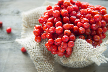 ягоды рябины