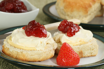 english cream scone