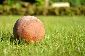 Ball in the garden