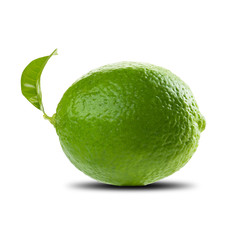 Lime On White Background