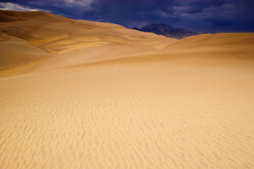Fototapeta na wymiar Dune