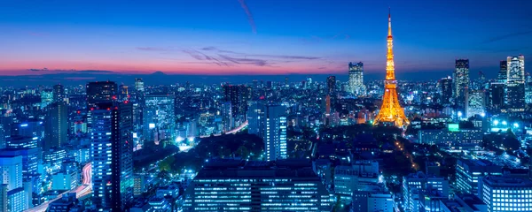 Vlies Fototapete Asiatische Orte Tokyo Tower, Tokio, Japan